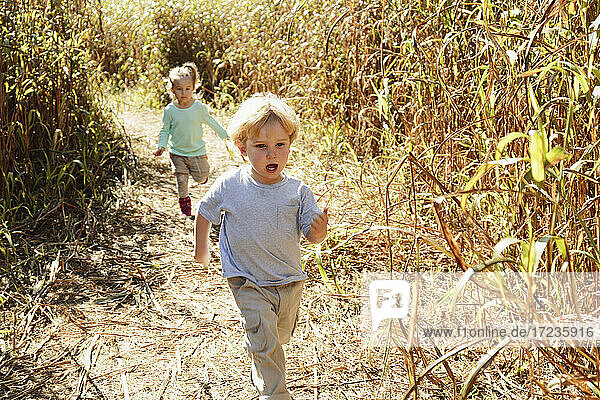 Boy and girl running in field with crops