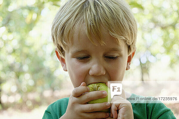 Porträt eines Jungen,  der einen grünen Apfel auf einer Obstfarm isst