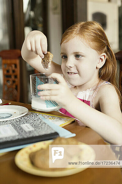 Girl dipping biscuit into glass of milk at dining room table