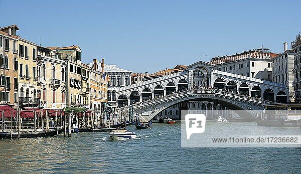 Rialto Bridge over the Grand Canal  Venice  Veneto Region  Italy  Europe