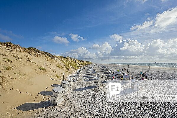 Beach chairs at the west beach  Sylt  North Frisian Island  North Sea  North Frisia  Schleswig-Holstein  Germany  Europe