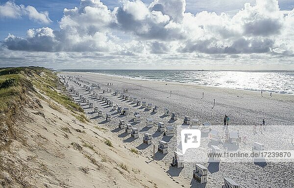 Beach chairs at the west beach  Sylt  North Frisian Island  North Sea  North Frisia  Schleswig-Holstein  Germany  Europe
