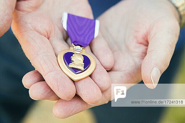 Älterer Mann hält die United States Military Purple Heart Medaille in den Händen