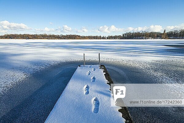 Fußspuren auf Bootssteg im Schnee  zugefrorener Glindower See  Werder  Havelland  Brandenburg  Deutschland  Europa