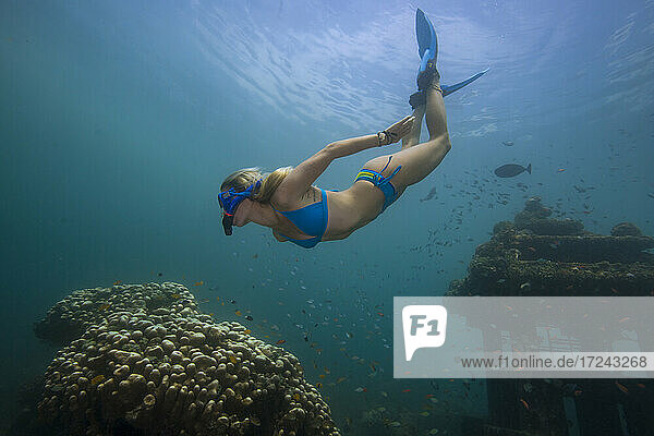 Underwater view of young woman diving in Java Sea