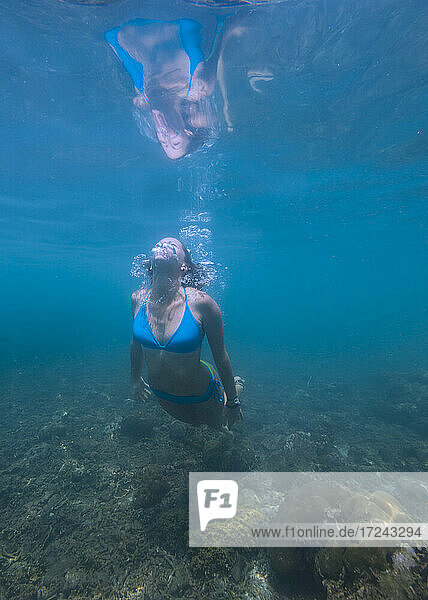 Underwater view of young woman diving in Java Sea