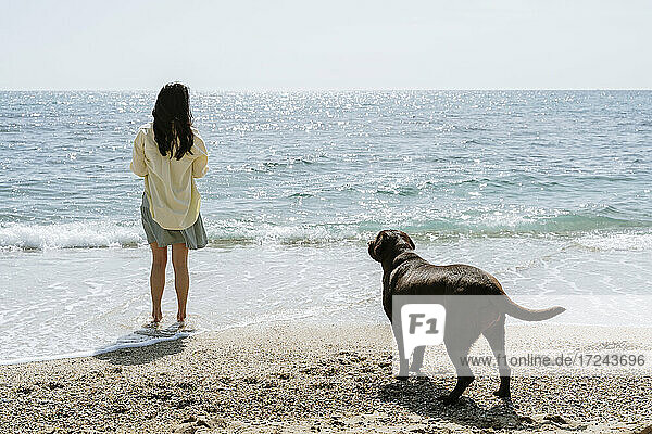 Labrador dog looking at woman standing at beach during weekend