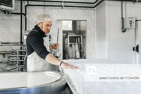 Mature male chef making cheese in dairy factory