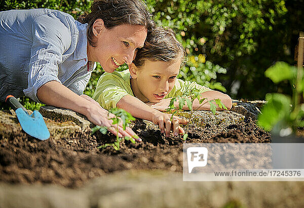 Sohn mit Mutter betrachtet Pflanze im Garten