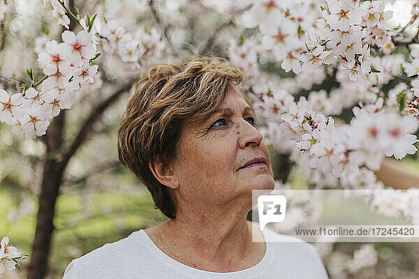 Senior woman looking at white flowers on tree