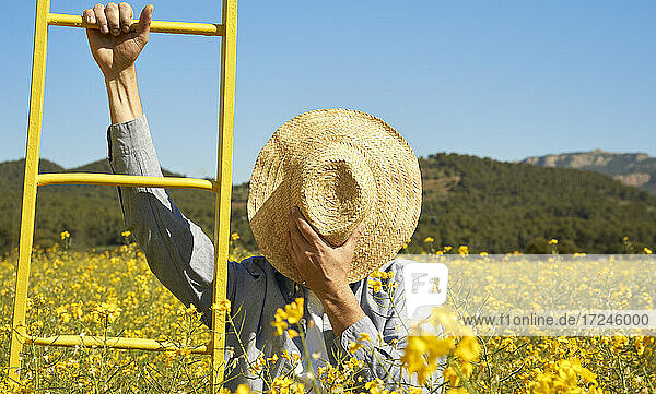 Mann  der sein Gesicht mit einem Strohhut bedeckt  hält eine gelbe Leiter in einem Feld