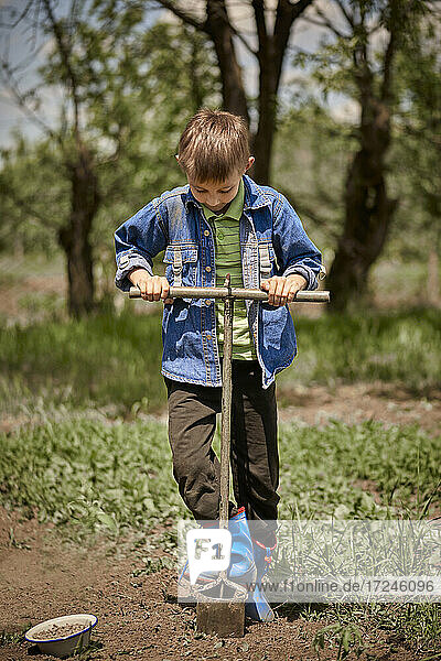 Boy digging holes in back yard for planting seeds
