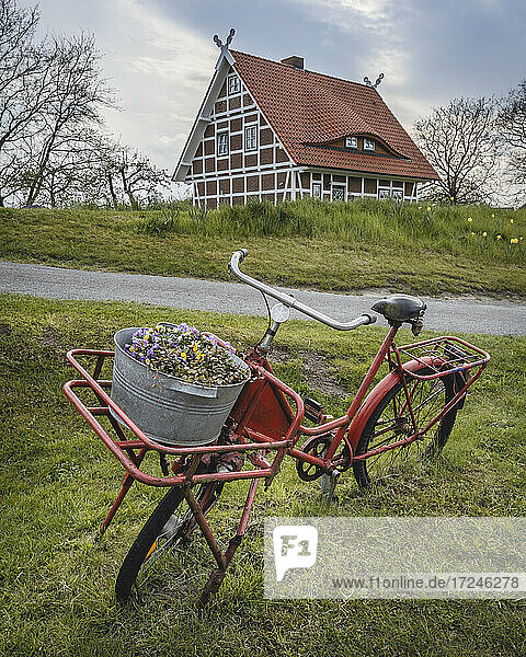 Deutschland  Altes Land  Idyllische ländliche Szene mit dekorativem Fahrrad und Fachwerkhaus im Hintergrund