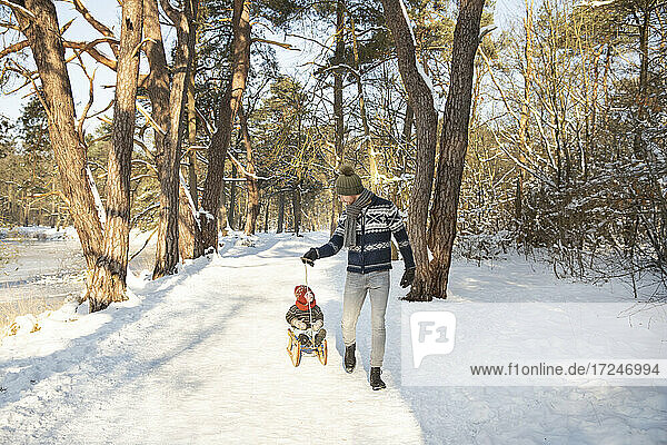Father pulling sled while looking at son during winter