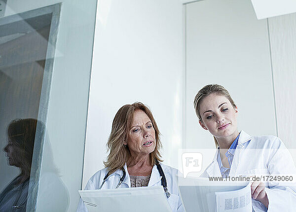 Female doctors looking at documents while discussing in hospital