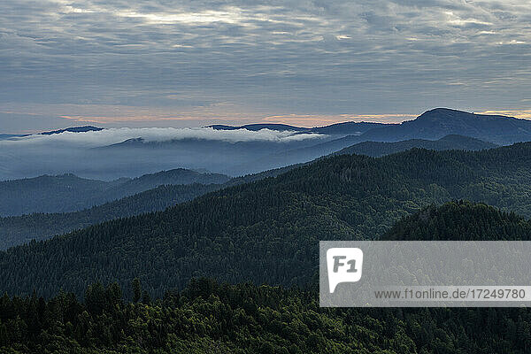 Blick vom Hochblauen auf die umliegenden Berge bei nebliger Morgendämmerung