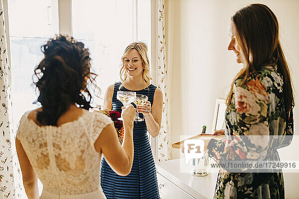 Female friends toasting drinking glass in domestic room