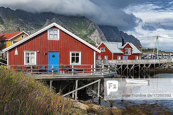 Rote Häuser am Hafen von Henningsvaer auf den Lofoten  Norwegen