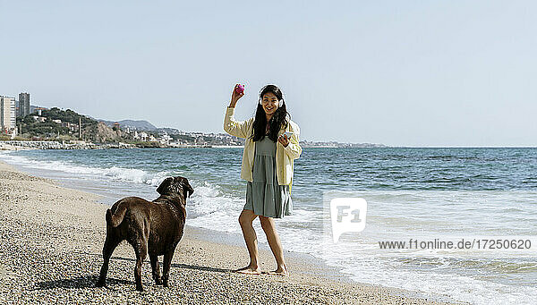 Frau hält Handy in der Hand und spielt mit Labrador-Hund am Strand