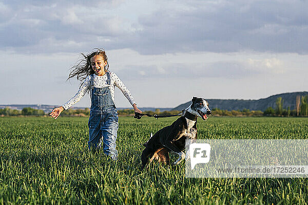 Aufgeregtes Mädchen mit Hund läuft über Feld