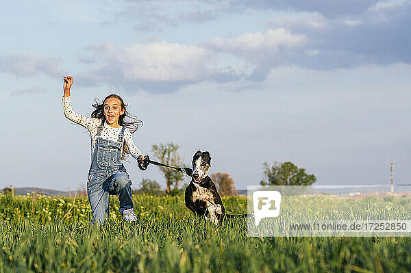Fröhliches Mädchen läuft mit Hund auf einem landwirtschaftlichen Feld