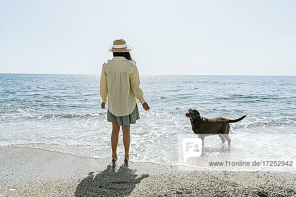 Dog looking at woman standing on coastline during sunny day