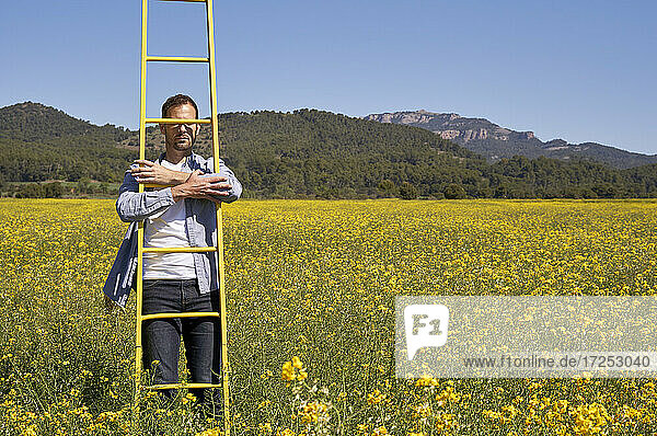 Mann steht auf einer Leiter in einem gelben Feld an einem sonnigen Tag