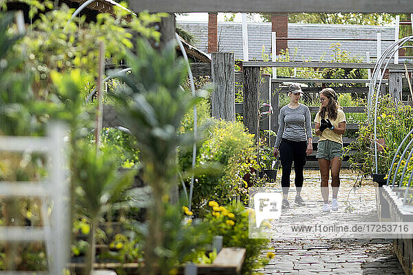 Australia  Melbourne  Two women walking on path at community garden