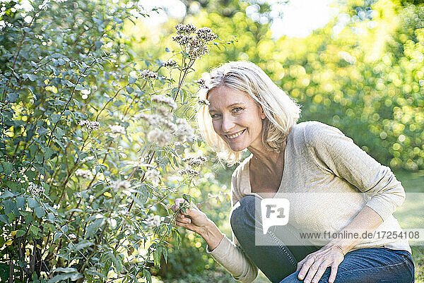 Porträt einer lächelnden reifen Frau  die eine Pflanze im Hinterhof hält
