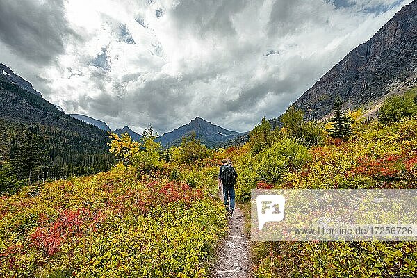 Wanderer auf einem Wanderweg durch Berglandschaft  Gebüsch in Herbstfarben  Wanderung zum Upper Two Medicine Lake  Glacier Nationalpark  Montana  USA  Nordamerika