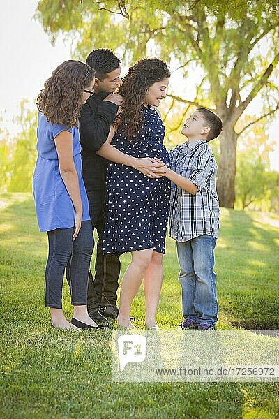 Glückliche attraktive hispanische Familie mit ihrer schwangeren Mutter im Freien im Park