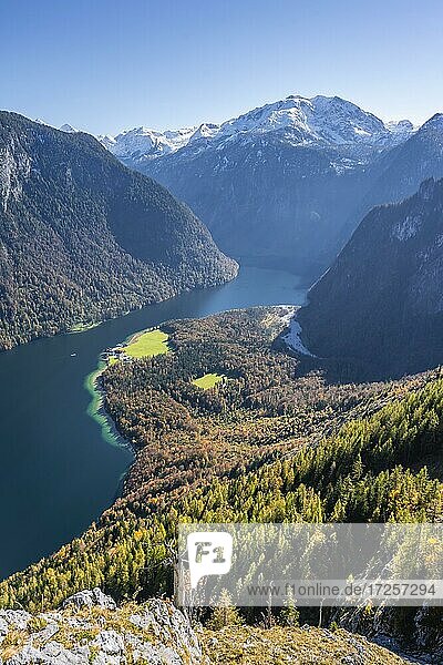 Panoramablick auf den Königssee vom Rinnkendlsteig  Wanderung zur Achenkanzel  herbstlicher Wald und schneebedeckte Berge  Nationalpark Berchtesgaden  Berchtesgadener Land  Oberbayern  Bayern  Deutschland  Europa