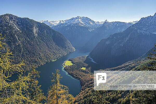 Panoramablick auf den Königssee von der Achenkanzel  herbstlicher Wald und schneebedeckte Berge  Nationalpark Berchtesgaden  Berchtesgadener Land  Oberbayern  Bayern  Deutschland  Europa