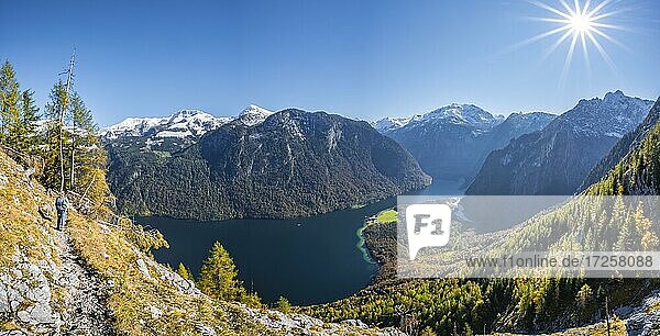 Panoramic view of the Königssee from the Rinnkendlsteig  hiking to the Achenkanzel  autumnal forest and snow-covered mountains  Berchtesgaden National Park  Berchtesgadener Land  Upper Bavaria  Bavaria  Germany  Europe