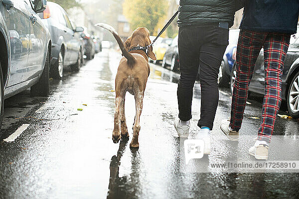 Gay male couple walking dog on rainy street