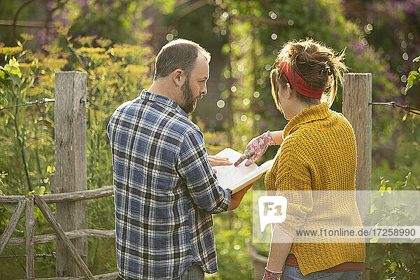 Couple with gardening book planning in sunny backyard
