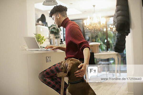 Hund beobachtet jungen Mann  der von zu Hause aus am Laptop in der Küche arbeitet