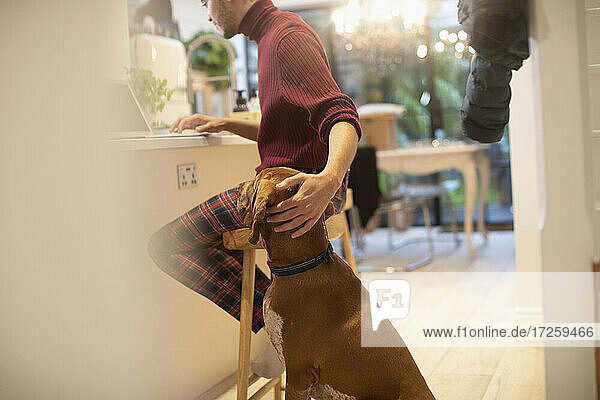 Hund beobachtet Mann Arbeit von zu Hause am Laptop in der Küche