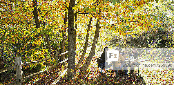 Geschäftsleute treffen sich am Tisch im sonnigen idyllischen Herbstpark