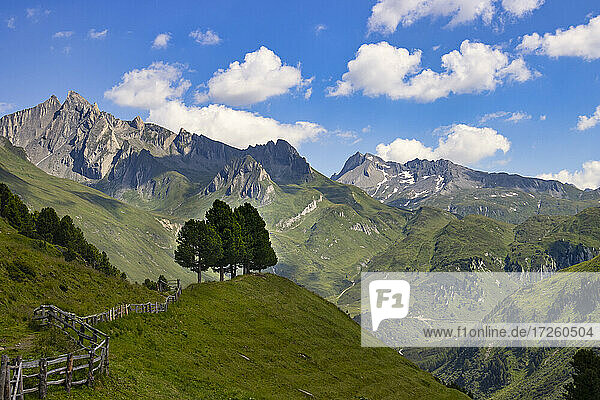 Ahrntal im Sommer  Dolomiten  Südtirol  Italien  Europa