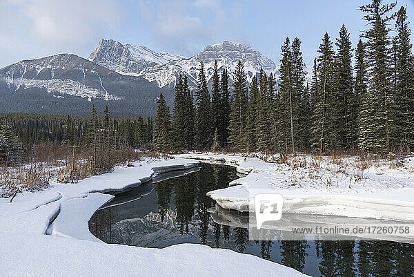 Policeman's Creek im Winter mit Mount Lawrence Grassi  Canmore  Bow Valley Provincial Park  Alberta  Kanada  Nordamerika