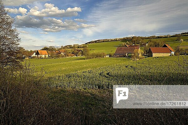 Bauernhöfe und Felder im Abendlicht  Horn-Bad Meinberg  Ostwestfalen-Lippe  Nordrhein-Westfalen  Deutschland  Europa