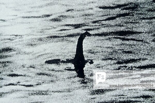 Loch Ness  See  Monster  Ungeheuer  Nessie  Fotografie  Schwarz-Weiß-Foto  historisches Foto  Archivaufnahme  Highlands  Hochland  Schottland  Großbritannien  Europa