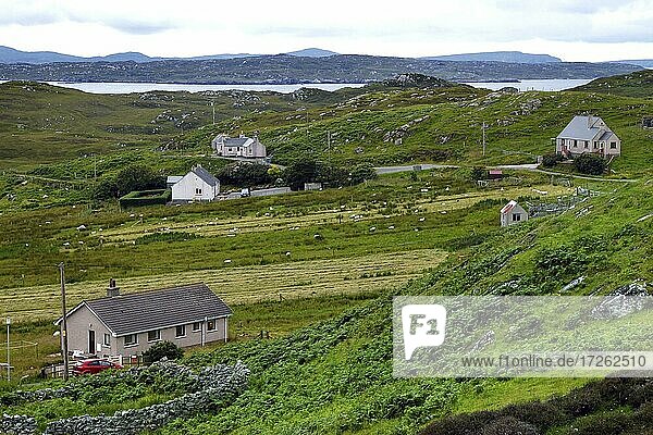Landschaft  Cottages  Häuser  Dun Carloway  Isle of Lewis  Äußere Hebriden  Western Isles  Hebriden  Schottland  Großbritannien  Europa