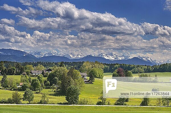 Frühlingshafte Voralpenlandschaft mit Haufenwolken (Cumulus)  bei Deining  Oberbayern  Bayern  Deutschland  Europa