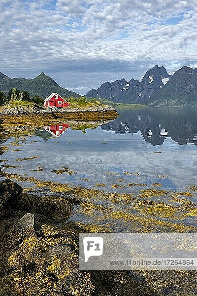 Rote Fischerhütte am Ufer  Rorbuer Hütte  Fjord Raftsund und Berge  Vesterålen  Norwegen  Europa