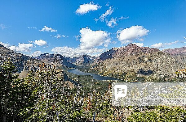 View of Two Medicine Lake with forest  hiking trail to Scenic Point  Glacier National Park  Montana  USA  North America