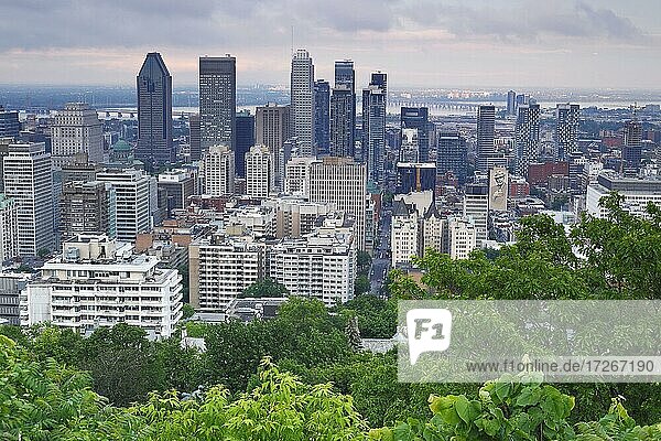 Blick auf die Stadt  Montreal  Provinz Quebec  Kanada  Nordamerika