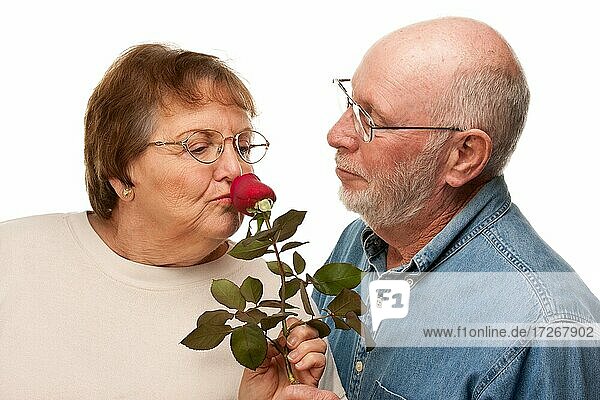 Glücklicher älterer Ehemann gibt rote Rose zu Frau vor weißem Hintergrund