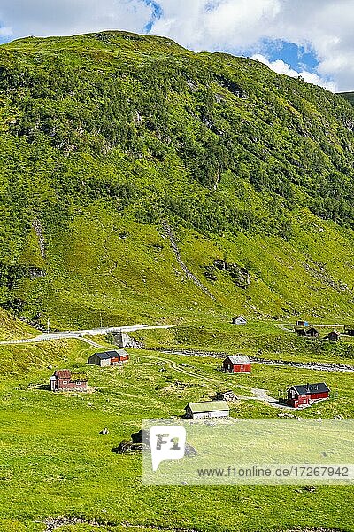 Bauernhäuser in einem grünen Tal bei Skei  Norwegen  Europa